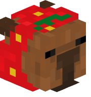 Chance_YT