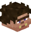 Tête de e2ln_