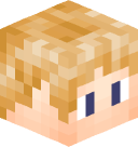 Lamin 3D head