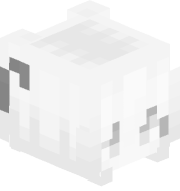 AikasAcc