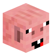 JEIPIXON10