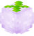 Lilac Fruit