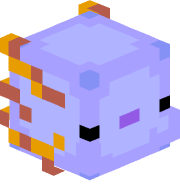 Ur_Local_Axolotl