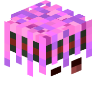 voqb