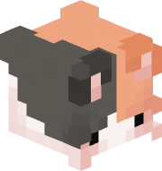 cody64kjg