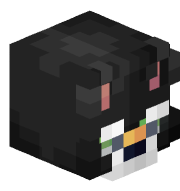 Mr_h8fool
