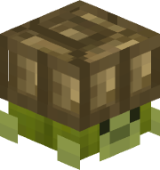 TurtleEdits