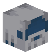 Cloner764