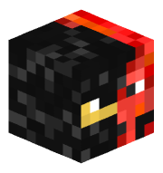 F_ninja09