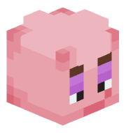 OaneNL