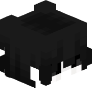 Solart12