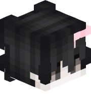 dhannlopp