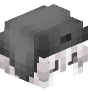 snct