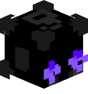 VOID__V