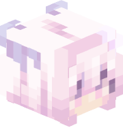 fiwrkoo