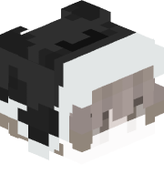ykzpan