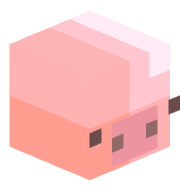 bigchunguspig827
