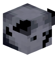 SALTTZ