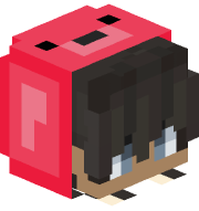 HackSolo