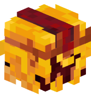traxion_12