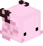 DasAxolotl2014
