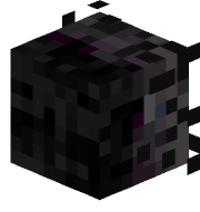 Maximum4923
