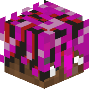 Dyleopard