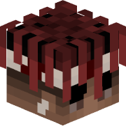 JANZENN