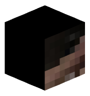 SoggyCatMC