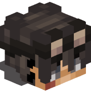 ItsLandiMC
