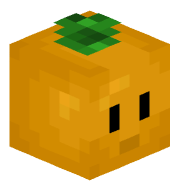 XEN_MATRIX