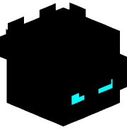 r12800sc