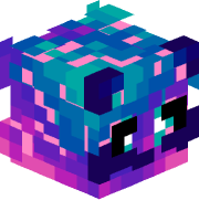 VelocityKn