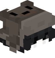 mrquack1