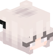 C12__