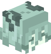 eivl_person