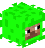 Wonkblonc