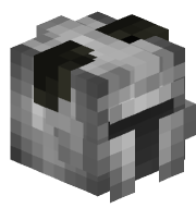 BillyTheBear_