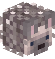 Matei_Albert