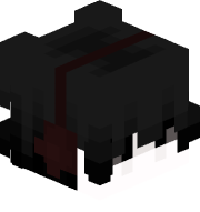 APairShoe