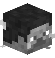 NhPoko