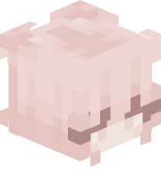 HongNgocCtee