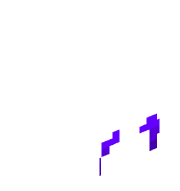 spinne2021