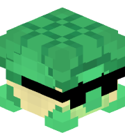 TheTurtleMaster_
