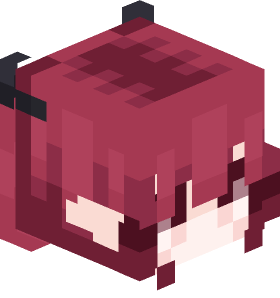 erglis67 Minecraft skin