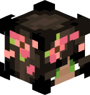 skin gracza