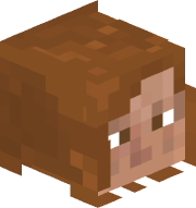 Jacodrilo