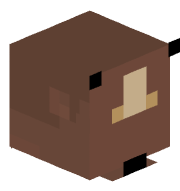 TheJuaninator