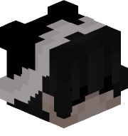 vxpour11