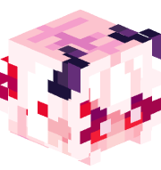 Jelly_meal